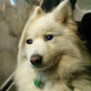 Meet your Posher, Satheesh